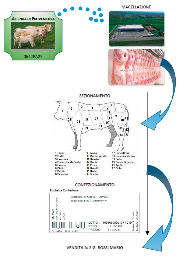 Tracciabilità Bovini - Sezionamento e Confezioni Carni